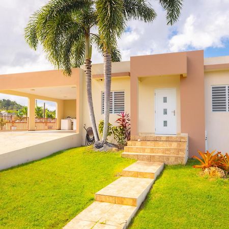 Vila Arenales Vacational House Isabela Exteriér fotografie