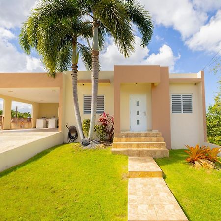 Vila Arenales Vacational House Isabela Exteriér fotografie